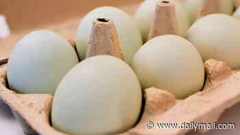 Life-threatening recall of more than 38 million eggs upgraded to FDA's highest risk level... 'reasonable probability of death'
