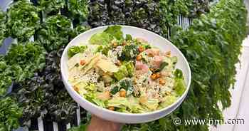 St. Louis salad shop Neon Greens offers vision of supply chain future with on-site hydroponics