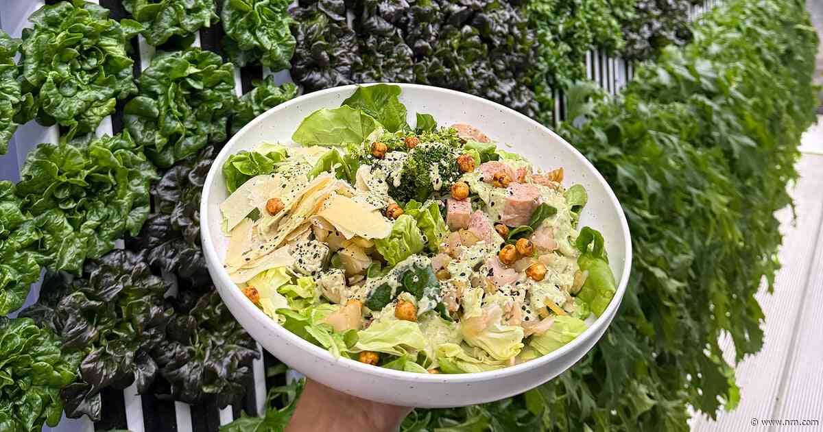 St. Louis salad shop Neon Greens offers vision of supply chain future with on-site hydroponics
