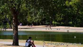 UK records hottest day of 2026 as temperatures hit 38.1C