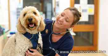 Grangemouth vet launches a new pet healthcare plan with unlimited visits