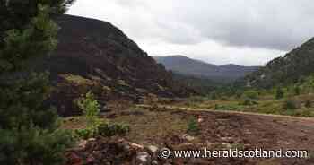 RSPB speaks out amid criticism during Cairngorms wildfire response