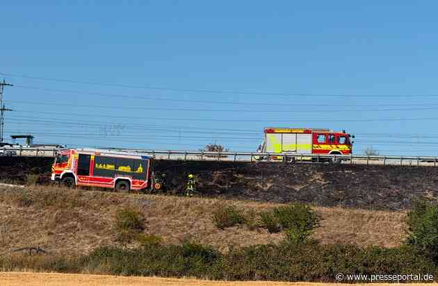 Feuerwehr MTK: Vegetationsbrände beschäftigen Feuerwehren in Hattersheim auch am Donnerstag