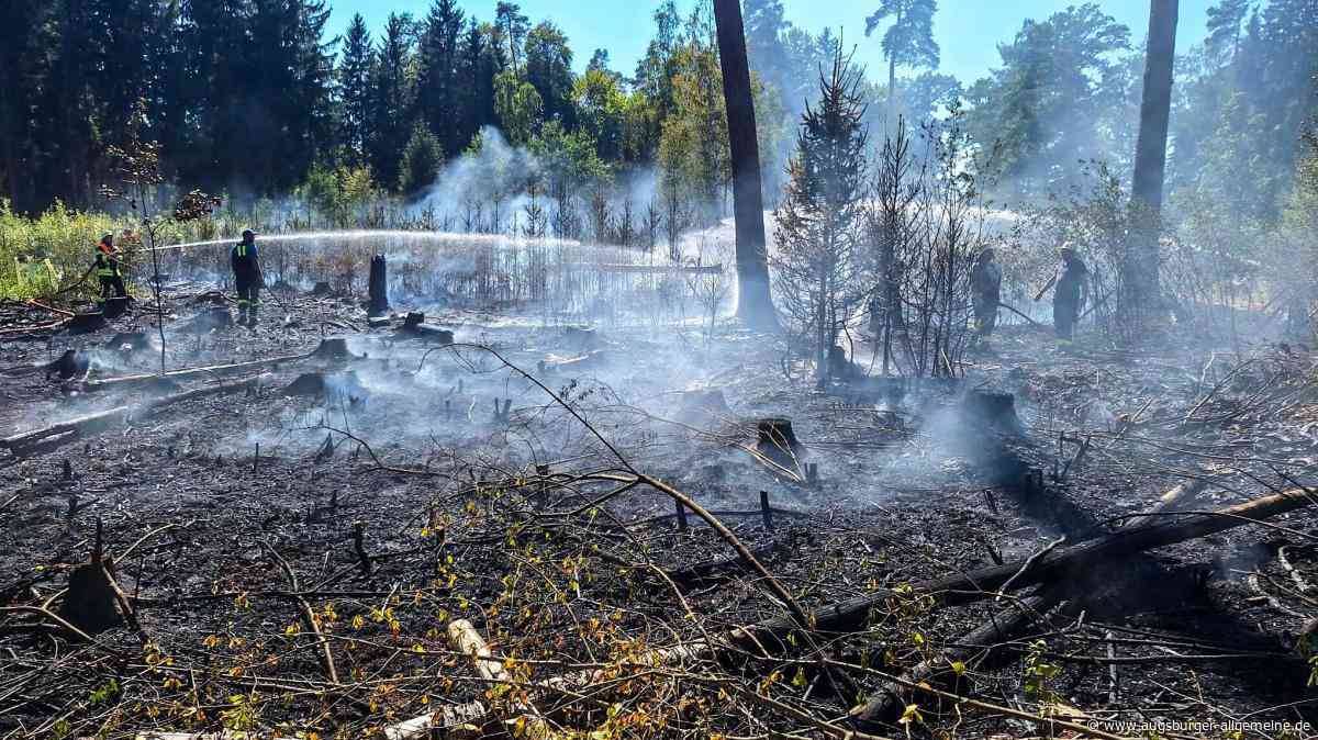 Waldbrand in Dinkelscherben: Funkenflug von Zügen soll Brand ausgelöst haben