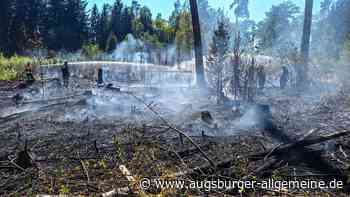 Waldbrand in Dinkelscherben: Funkenflug von Zügen soll Brand ausgelöst haben