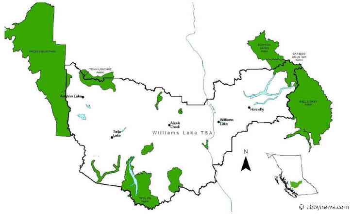 B.C. seeks public feedback on Williams Lake timber supply and future harvest levels