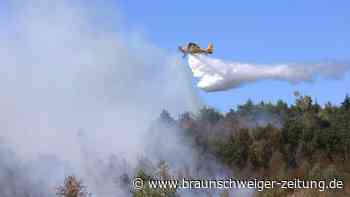 Waldbrand im Harz: Feuer bei Benneckenstein unter Kontrolle