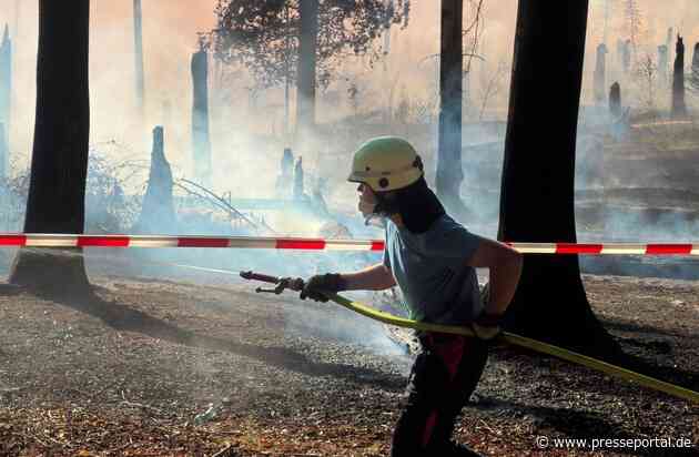 FW Kreis Soest: Waldbrand am Möhnesee / Feuerwehren aus dem Kreis Soest im Einsatz
