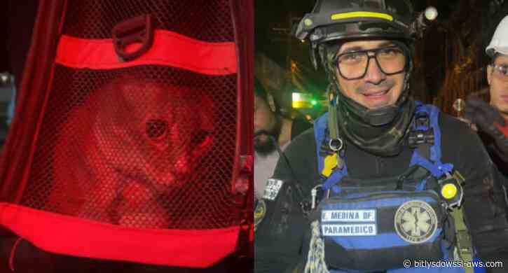 «Para eso vinimos»: rescatistas venezolanos salvan a una gata atrapada entre los escombros de un edificio en Cali