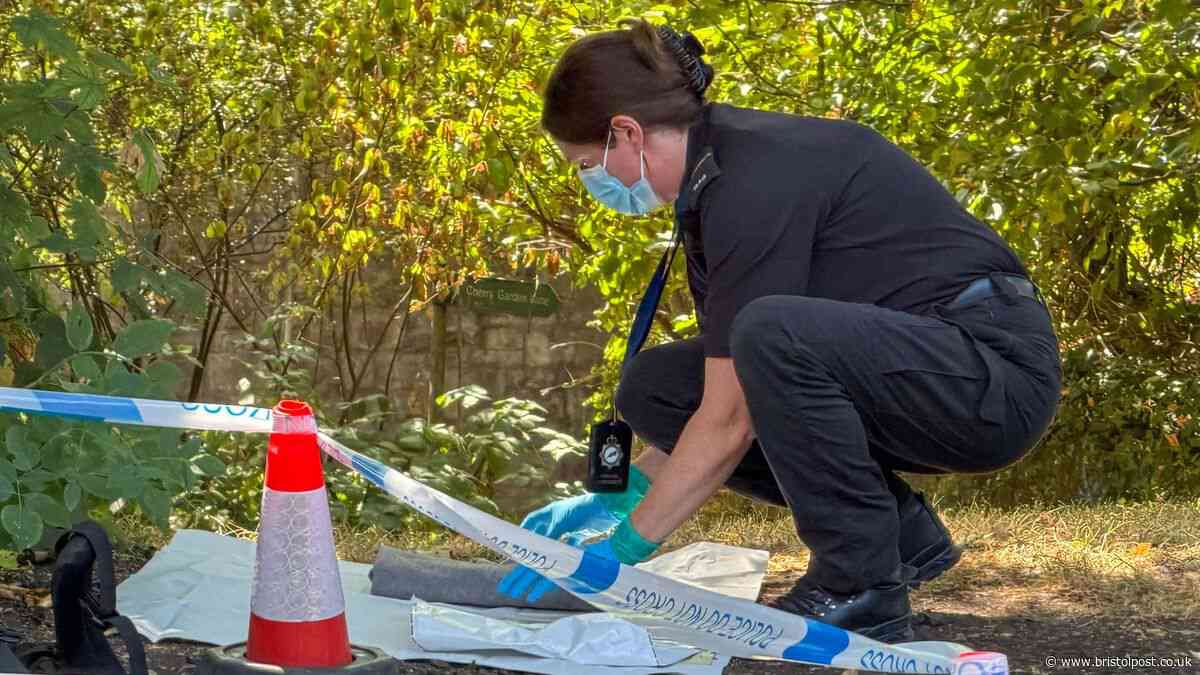 Second teenage boy arrested over Bristol railway path attack
