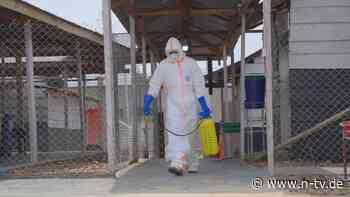 Ausbreitung rasant wie nie: Ebola-Virus erfasst sechste Provinz in der Republik Kongo