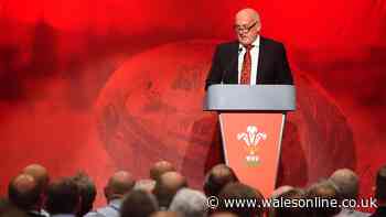 Next WRU chair faces poisoned chalice as Welsh rugby's future hangs in balance