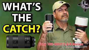What f/8 Really Costs You on a 400mm Wildlife Lens