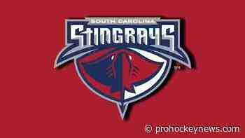 Prokop brothers sign with Stingrays