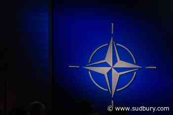 Conservatives, Bloc push for probe into Canadian NATO intern's espionage case