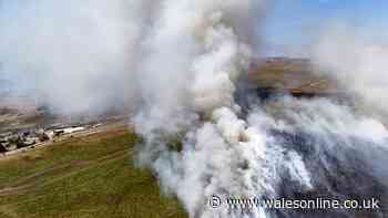 Fire crews battle raging wildfires across Wales on hottest day of the year - live updates