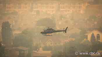 Okanagan wildfires hurting tourism in B.C. towns hundreds of kilometres away