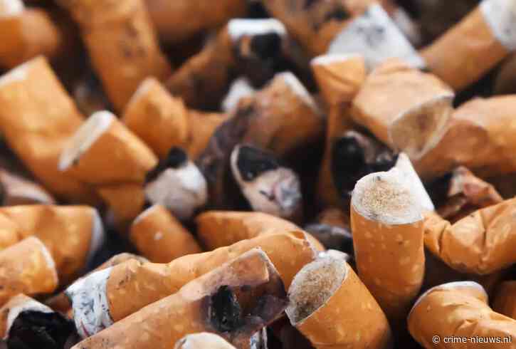 Ruim 20 miljoen illegale sigaretten onderschept: Staat dreigde 9 miljoen euro mis te lopen
