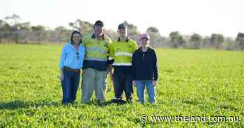 How a family's legacy of innovation led to grower of the year title