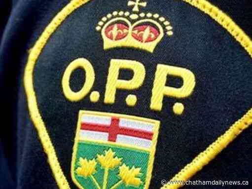 OPP seek public’s help in Moraviantown sudden death probe