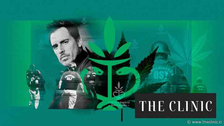 El masivo operativo que pone en la mira a los dispensarios medicinales por tráfico de cannabis: hay 38 detenidos y Camilo Huerta está entre los investigados