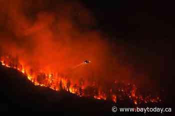 Fact File: Experts douse viral claim that wildfires caused by 'weather manipulation'