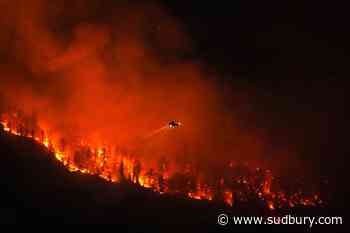 Fact File: Experts douse viral claim that wildfires caused by 'weather manipulation'