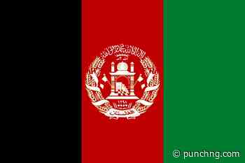 Bomb blast kills Afghanistan provincial capital mayor