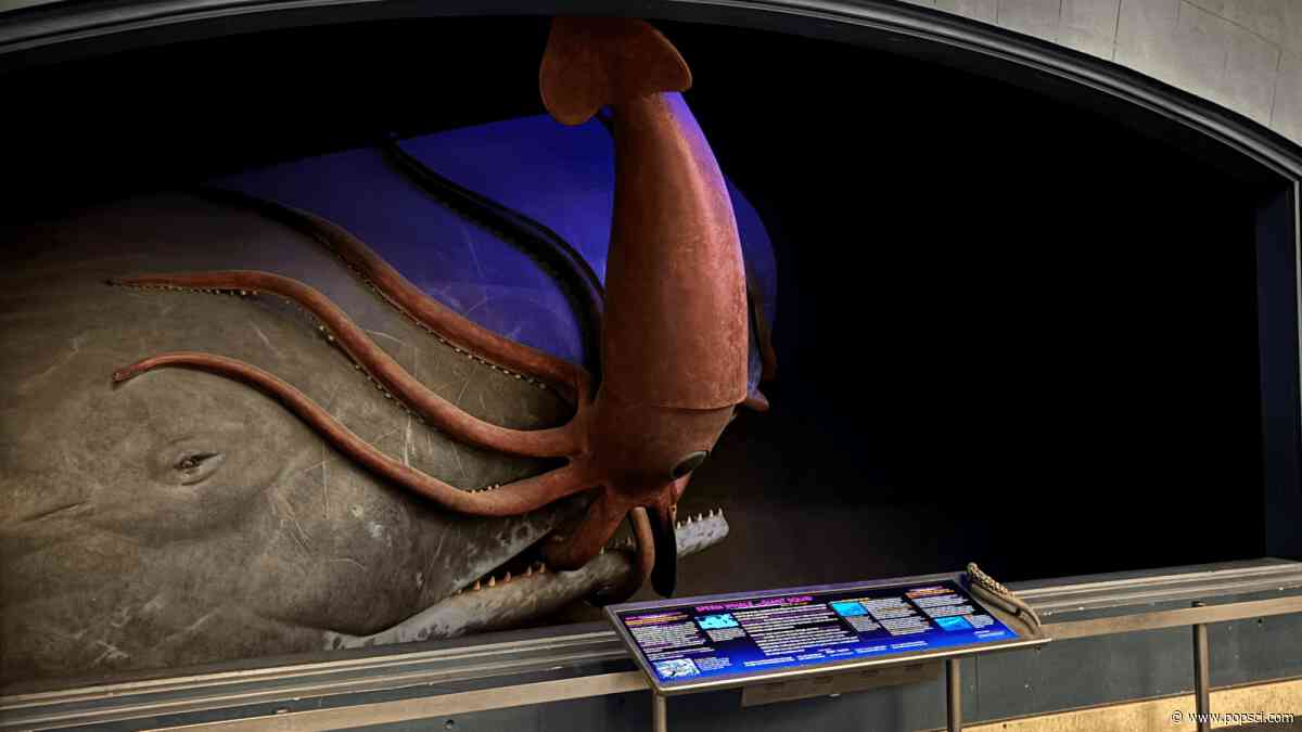 How one of the American Museum of Natural History’s most terrifying dioramas get clean