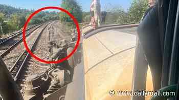 Was the terrifying Sussex train crash caused by the heatwave? Passenger train came off 'buckling track in extreme heat' in Lewes, transport expert says