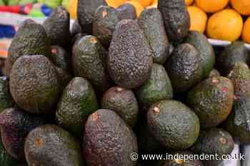 US resumes avocado inspections in Mexico after a security scare