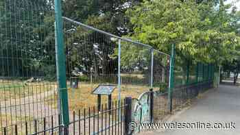 Neighbours angered over Cardiff football club’s extension