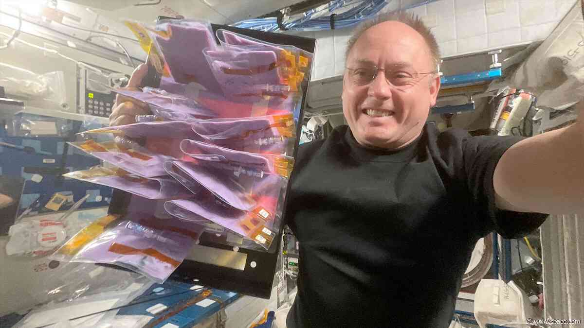 NASA astronaut Mike Fincke retires after 30 years at the space agency