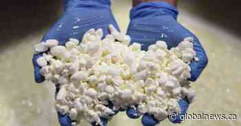 Canada’s dairy companies boost production amid ‘national cottage cheese shortage’