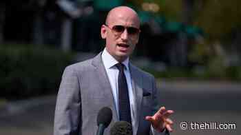 Stephen Miller on 'Woke 1': 'It never stopped'