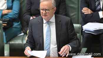 Anthony Albanese and Donald Trump have spoken in a phone call overnight