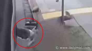 Toddler dragged along street after legs caught in Melbourne bus