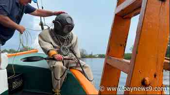 Tarpon Springs explores ways to improve tourism