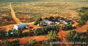 'Extraordinary' interest nationwide to run big outback sheep station
