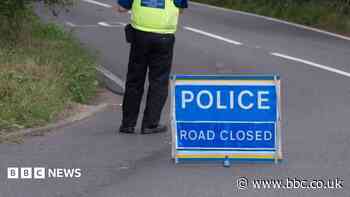 Pedestrian dies after being hit by car on A-road