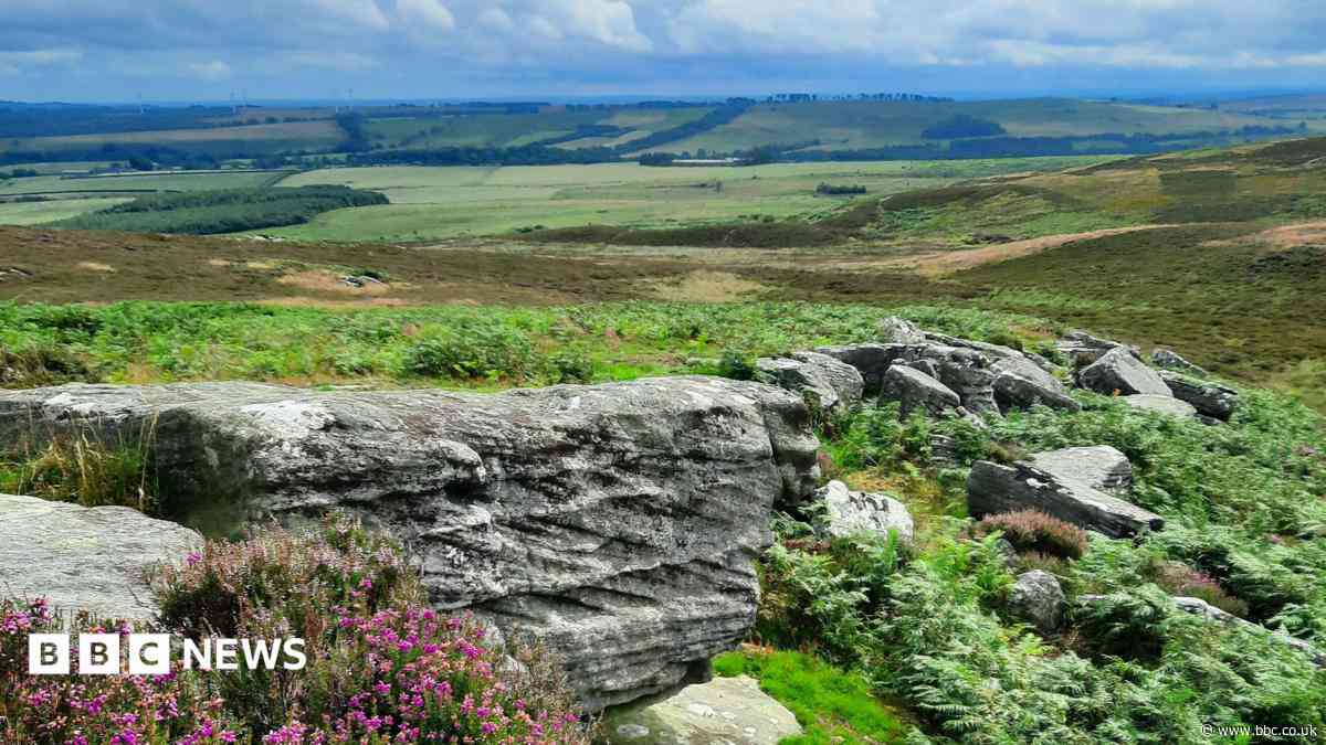 'Crunch time' as Rothbury Estate bid hits £20m