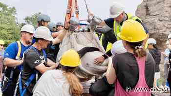4 of 6 belugas shipped from Marineland arrive safely at Chicago aquarium