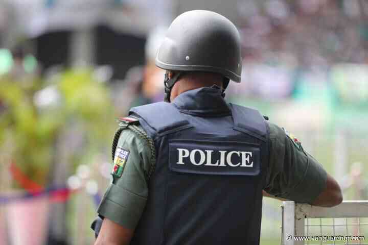 Police mopped up 34 illegal weapons in Osun ahead poll – Force PRO