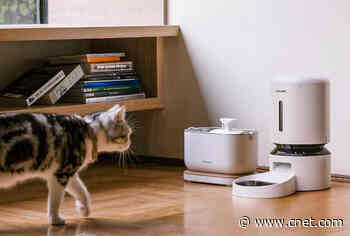 Pets Left in a Ruff Spot After Automatic Feeders Go Down
