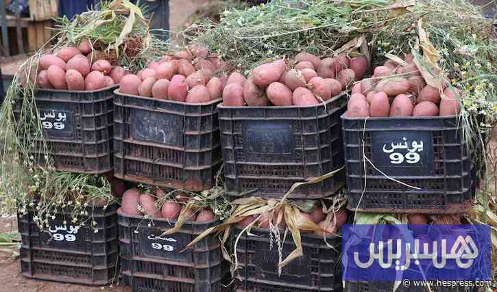 المغرب يفرض رخصاً مسبقة على استيراد "البطا