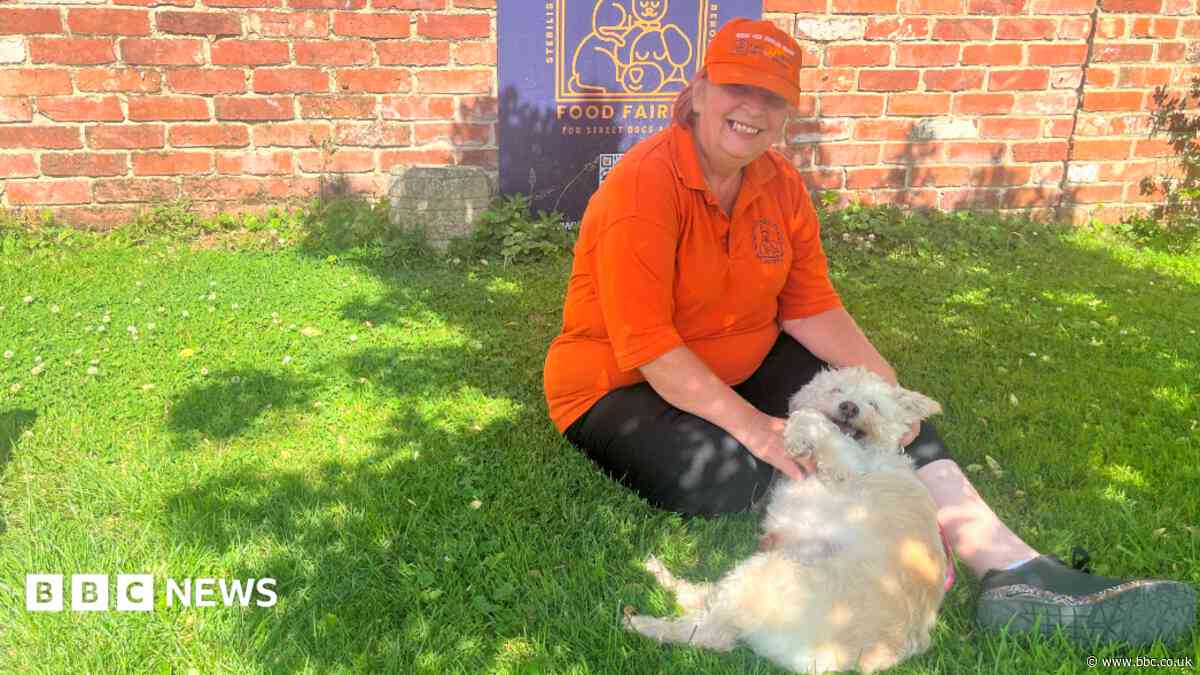 'We stand up for animals who do not have a voice'