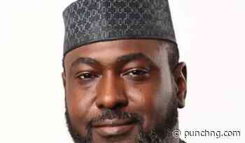 Nigeria risks future crisis without scalable innovations – NESG