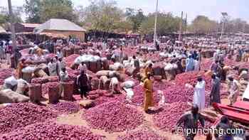 Nigeria, W’African onion traders sign pact to ease trade