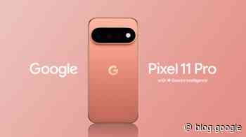 The Pixel 11 series: Your most personal Pixel yet