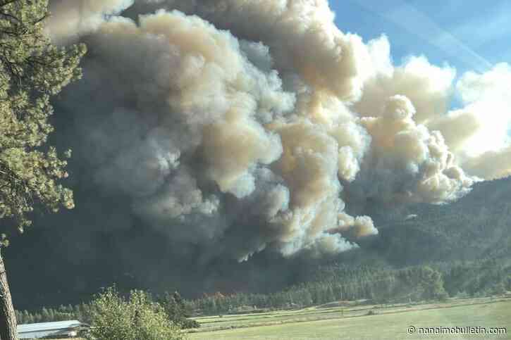 Summerland fruit growers face mounting losses as wildfire’s toll grows